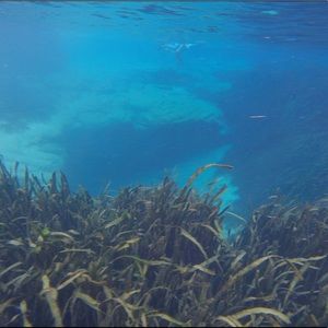 Meet your Posher, Paige